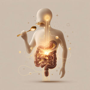 kansa bronze improves metabolism