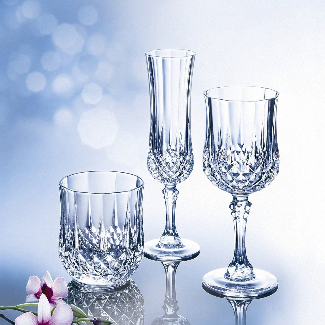 Cristal D'Arques Longchamp old fashioned 320ml whiskey glasses elegantly crafted for a refined drinking experience