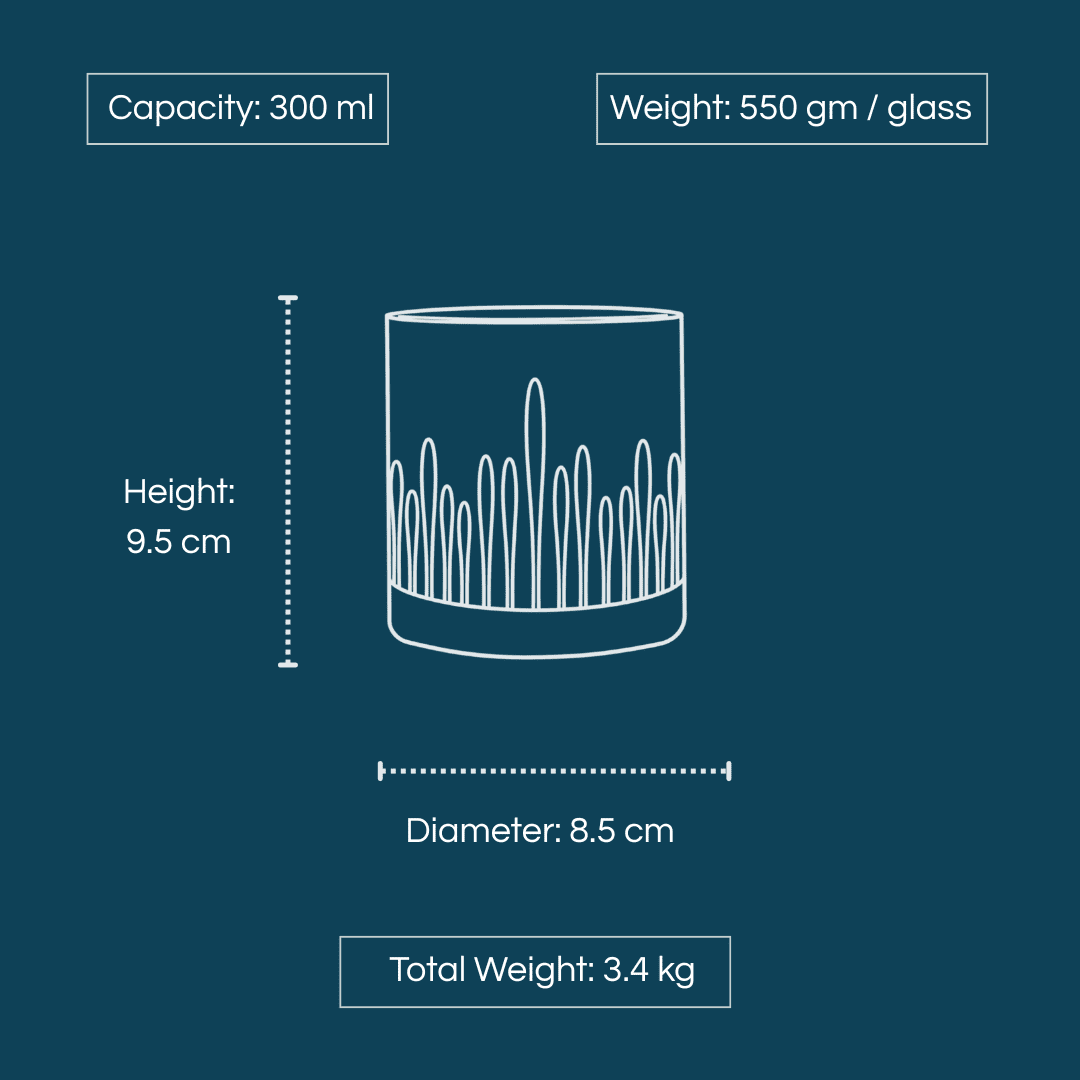 Iveo Crystalline Grace Crystal Whisky Glass with 300 ml capacity and elegant design