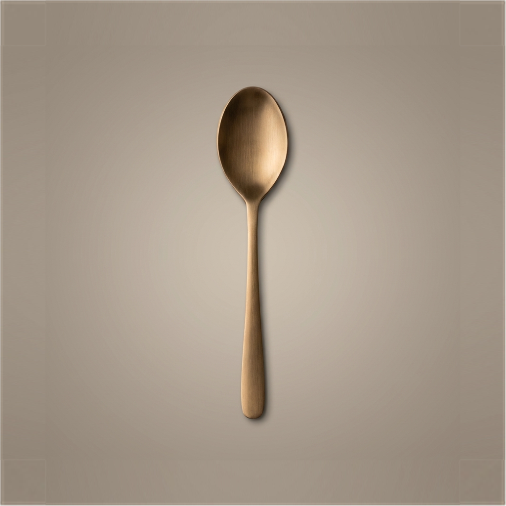 Pure Kansa Regular Spoon, Matte Finished - hero shot